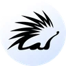 Spiko avatar