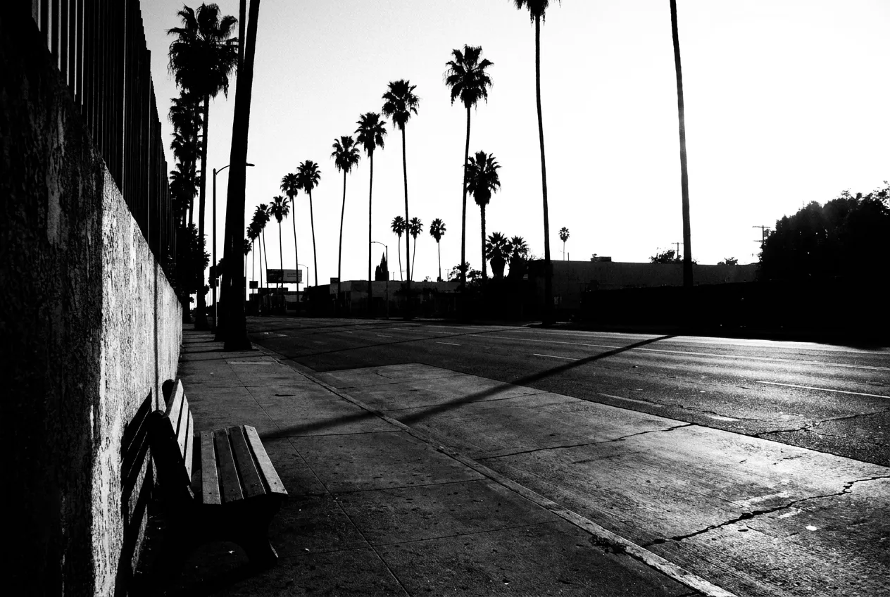 Palmiers en silhouette sur Sunset Boulevard, Los Angeles, Mer 30 sept. 2026