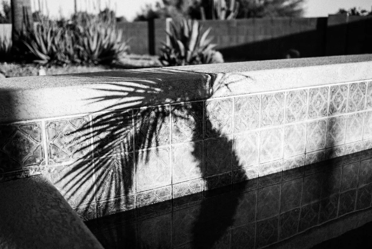 Ombre d'un palmier sur le carrelage de la piscine, Las Vegas, Dim 4 oct. 2026