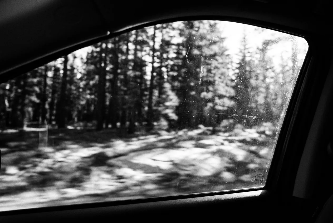 La forêt floue depuis la voiture sur la Tioga Road, Yosemite, Lun 5 oct. 2026