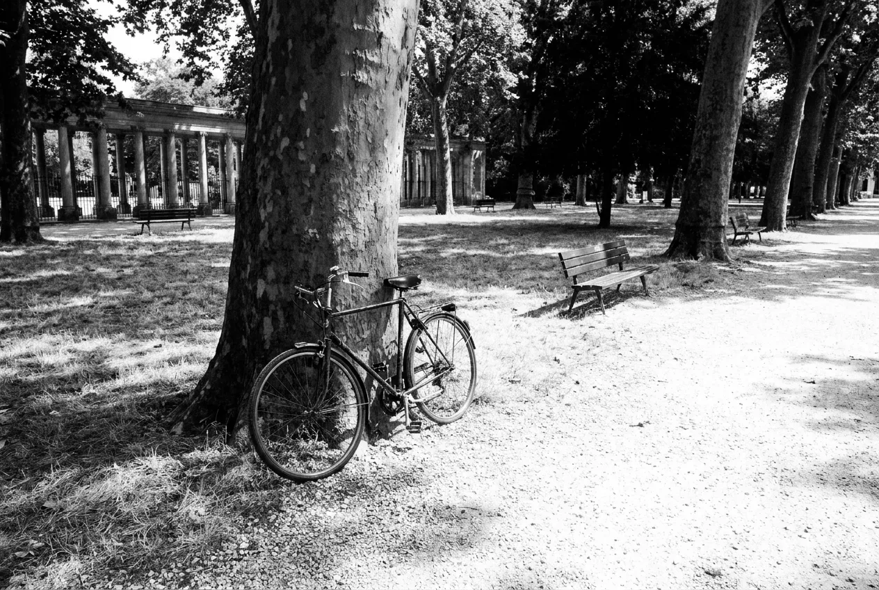Un seul vélo appuyé contre un platane de la grande allée, Parc Monceau, Ven 14 août 2026